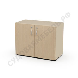 СЕКЦИЯ С ДВУМЯ ДВЕРЬМИ